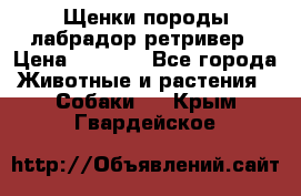 Щенки породы лабрадор ретривер › Цена ­ 8 000 - Все города Животные и растения » Собаки   . Крым,Гвардейское